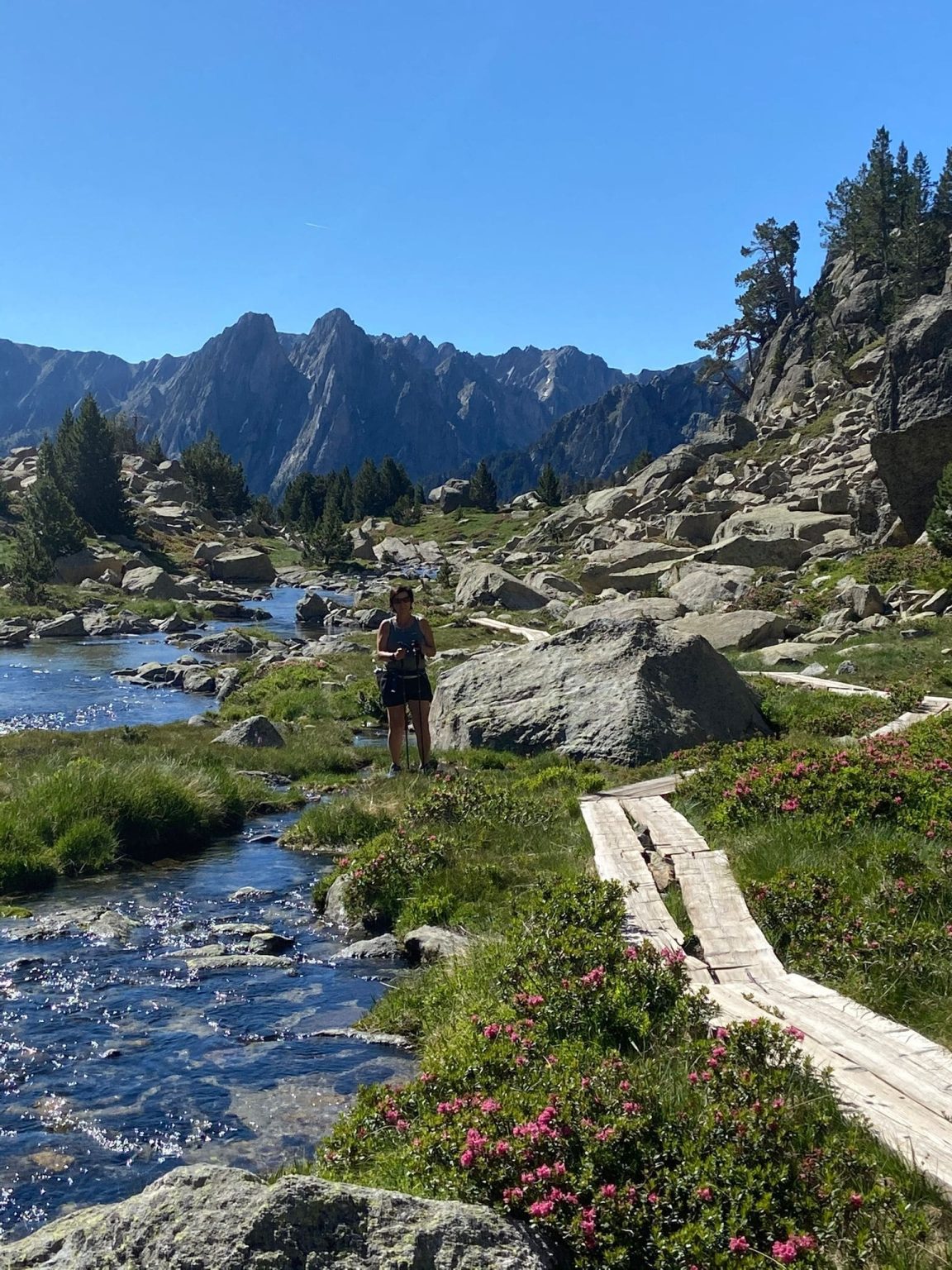 Caminant per parc nacional - apartaments Les Picardes - Espot